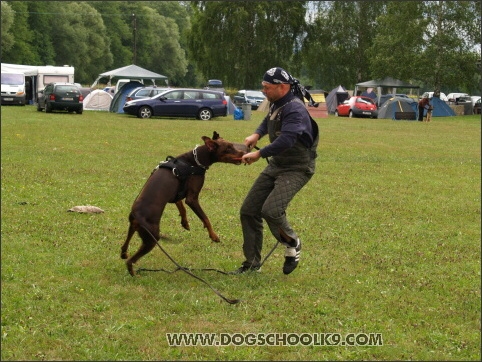 Training camp - Lukova 2007